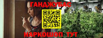 дмт Можайск