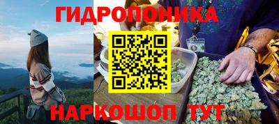 гашик Нарткала