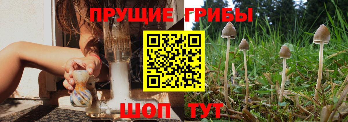 Галлюциногенные грибы MAGIC MUSHROOMS  Вход с VPN  Уссурийск 
