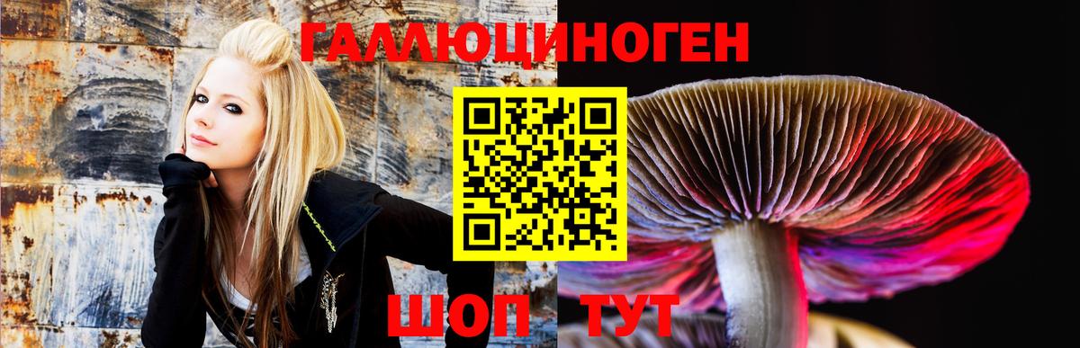 Псилоцибиновые грибы ЛСД Уссурийск